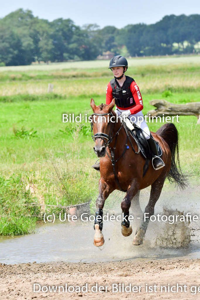 Goldene Schärpe PFerde  in Löningen  11+12.6.22 | 11062022 - Gelände 1 Abt_1172 
