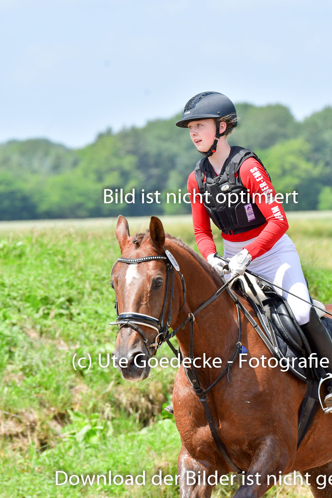 Goldene Schärpe PFerde  in Löningen  11+12.6.22 | 11062022 - Gelände 1 Abt_1174 