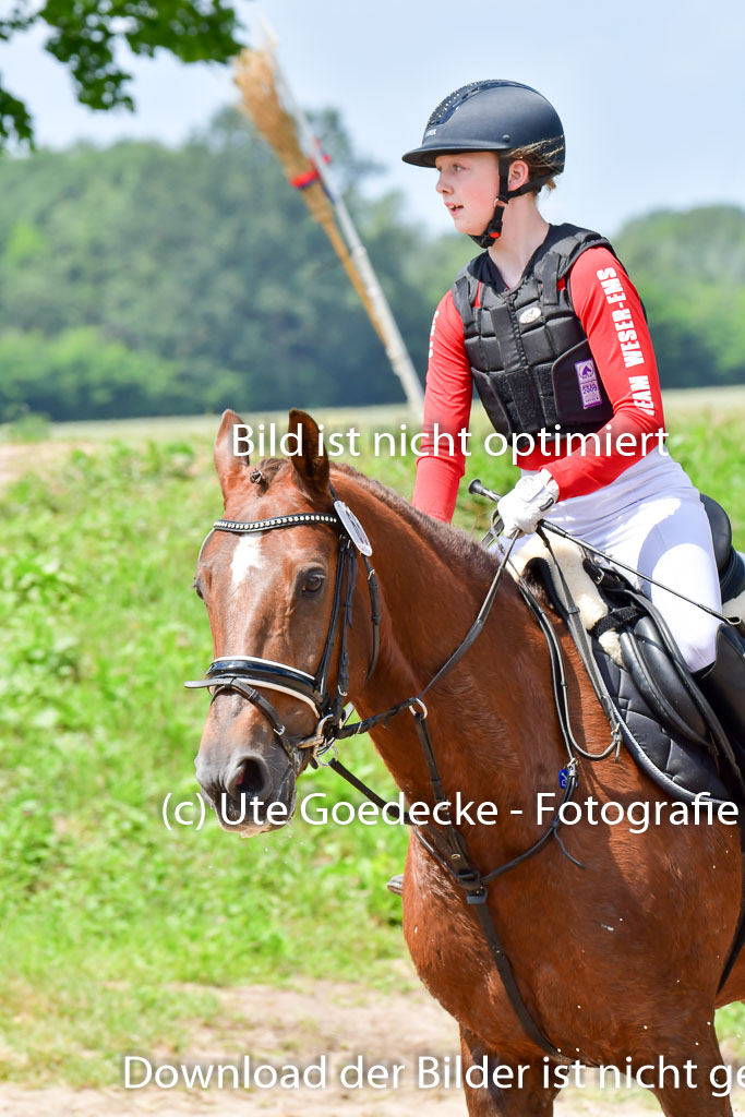 Goldene Schärpe PFerde  in Löningen  11+12.6.22 | 11062022 - Gelände 1 Abt_1175 