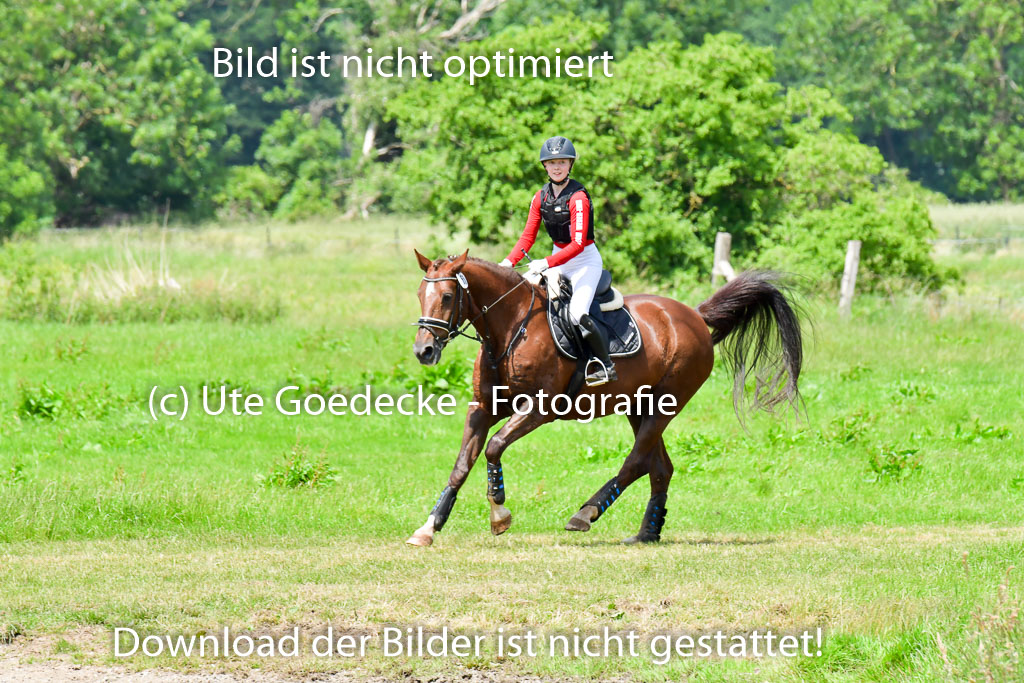 Goldene Schärpe PFerde  in Löningen  11+12.6.22 | 11062022 - Gelände 1 Abt_1178 