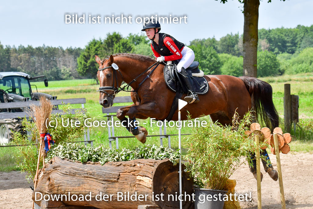 Goldene Schärpe PFerde  in Löningen  11+12.6.22 | 11062022 - Gelände 1 Abt_1181 