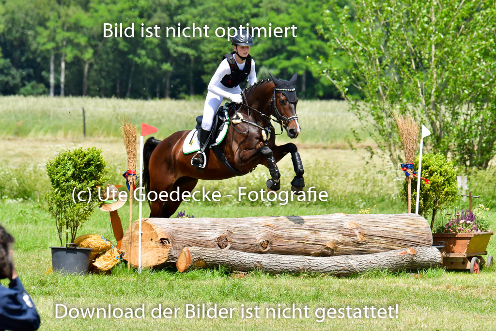 Goldene Schärpe PFerde  in Löningen  11+12.6.22 | 11062022 - Gelände 1 Abt_1184 