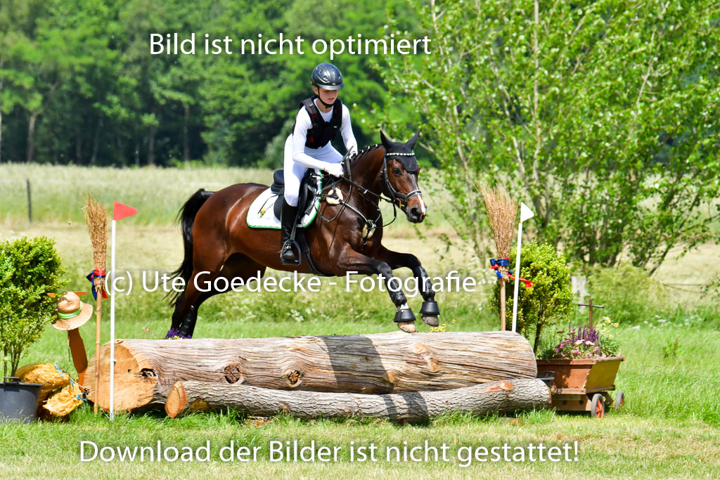 Goldene Schärpe PFerde  in Löningen  11+12.6.22 | 11062022 - Gelände 1 Abt_1185 