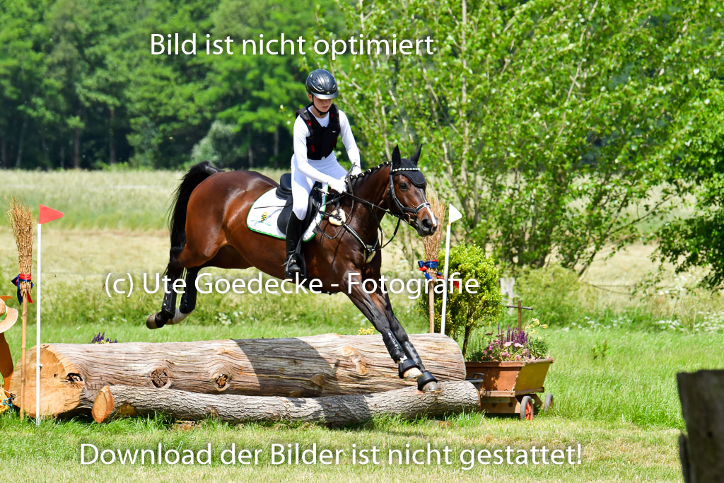 Goldene Schärpe PFerde  in Löningen  11+12.6.22 | 11062022 - Gelände 1 Abt_1186 