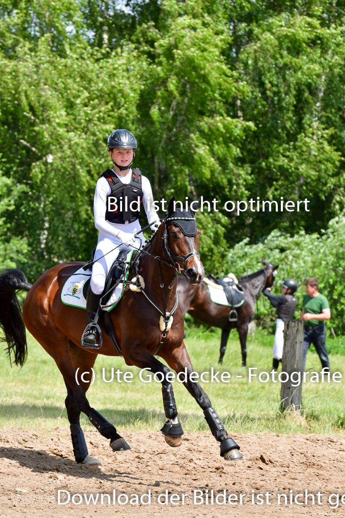 Goldene Schärpe PFerde  in Löningen  11+12.6.22 | 11062022 - Gelände 1 Abt_1187 