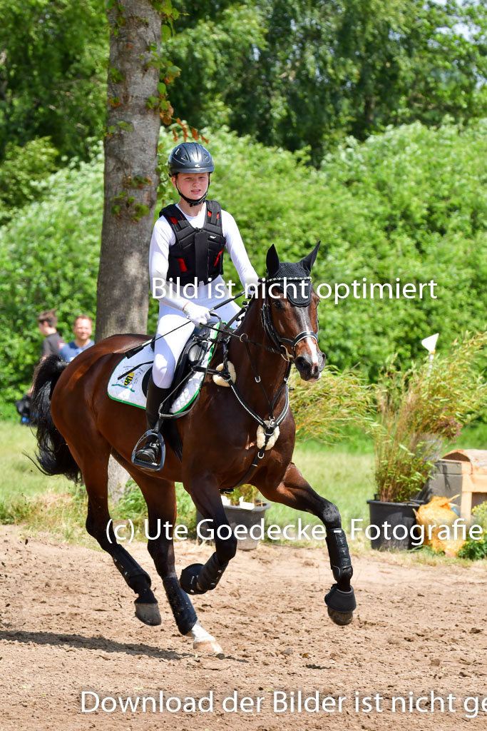Goldene Schärpe PFerde  in Löningen  11+12.6.22 | 11062022 - Gelände 1 Abt_1188 