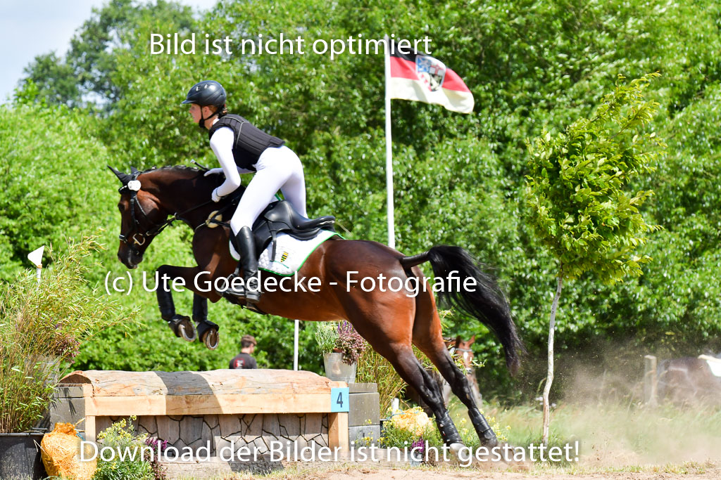 Goldene Schärpe PFerde  in Löningen  11+12.6.22 | 11062022 - Gelände 1 Abt_1190 