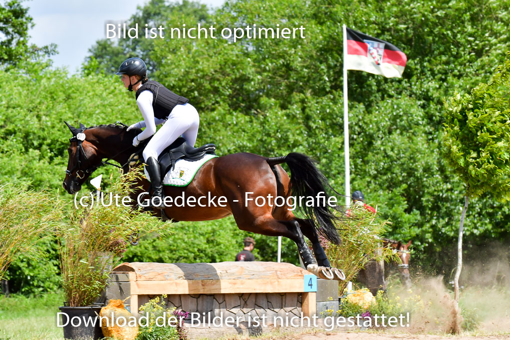 Goldene Schärpe PFerde  in Löningen  11+12.6.22 | 11062022 - Gelände 1 Abt_1191 