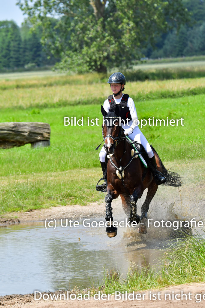 Goldene Schärpe PFerde  in Löningen  11+12.6.22 | 11062022 - Gelände 1 Abt_1192 