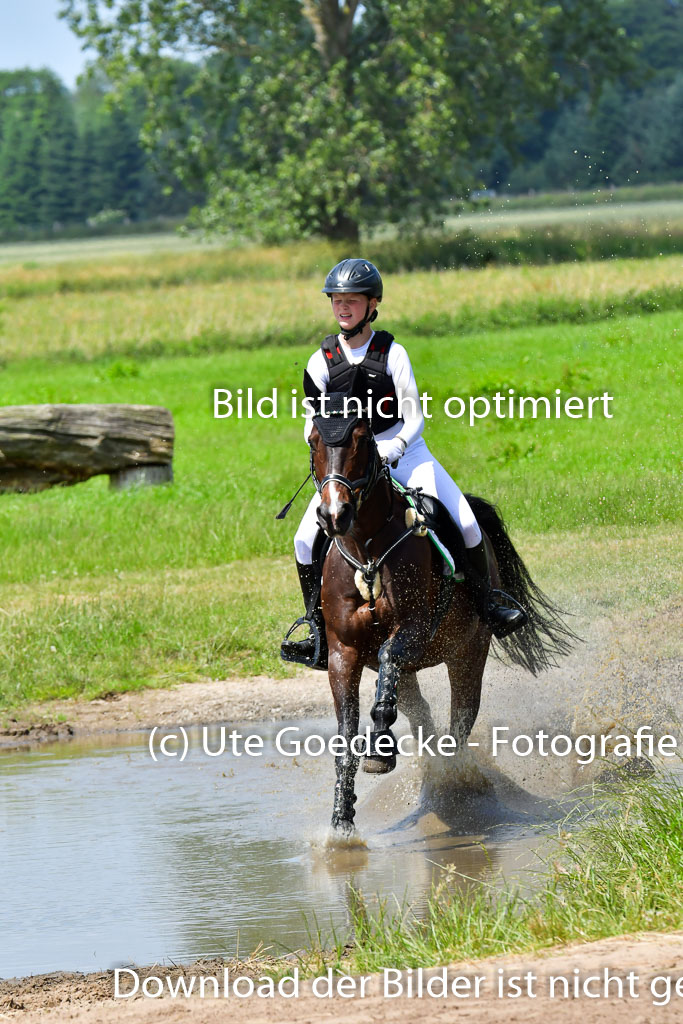 Goldene Schärpe PFerde  in Löningen  11+12.6.22 | 11062022 - Gelände 1 Abt_1193 