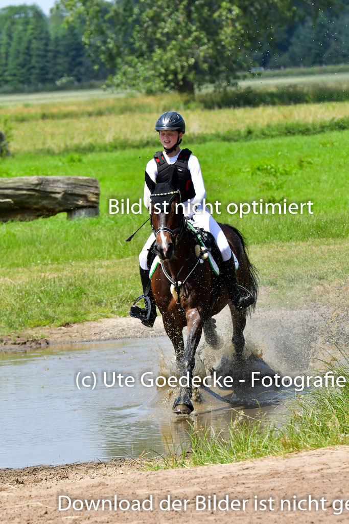 Goldene Schärpe PFerde  in Löningen  11+12.6.22 | 11062022 - Gelände 1 Abt_1194 