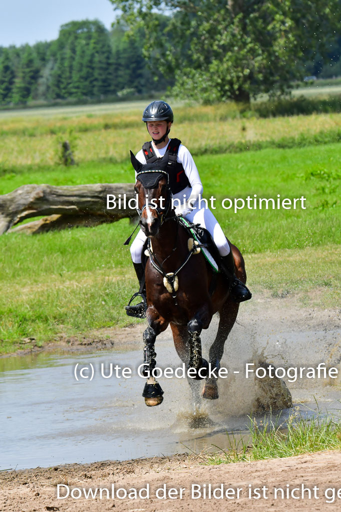 Goldene Schärpe PFerde  in Löningen  11+12.6.22 | 11062022 - Gelände 1 Abt_1195 