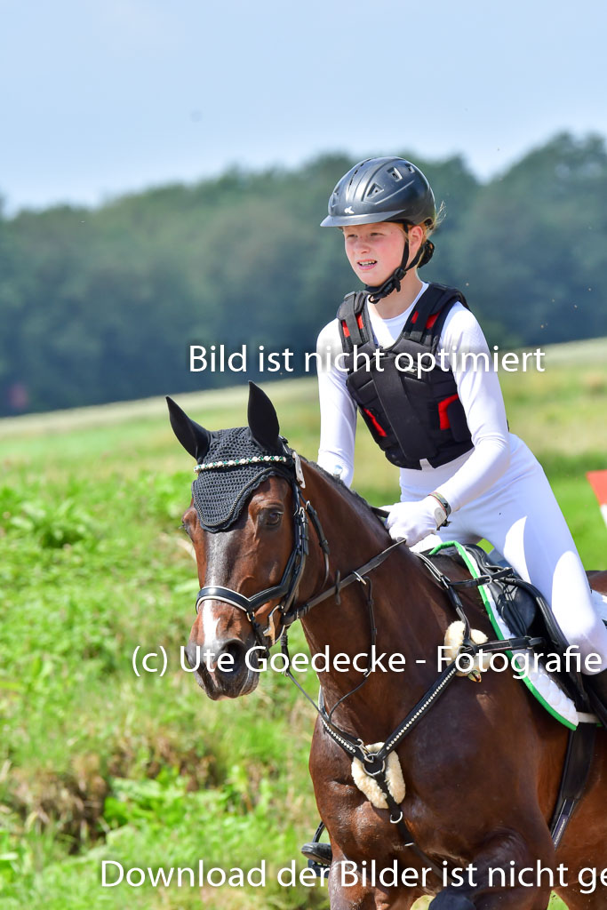Goldene Schärpe PFerde  in Löningen  11+12.6.22 | 11062022 - Gelände 1 Abt_1198 
