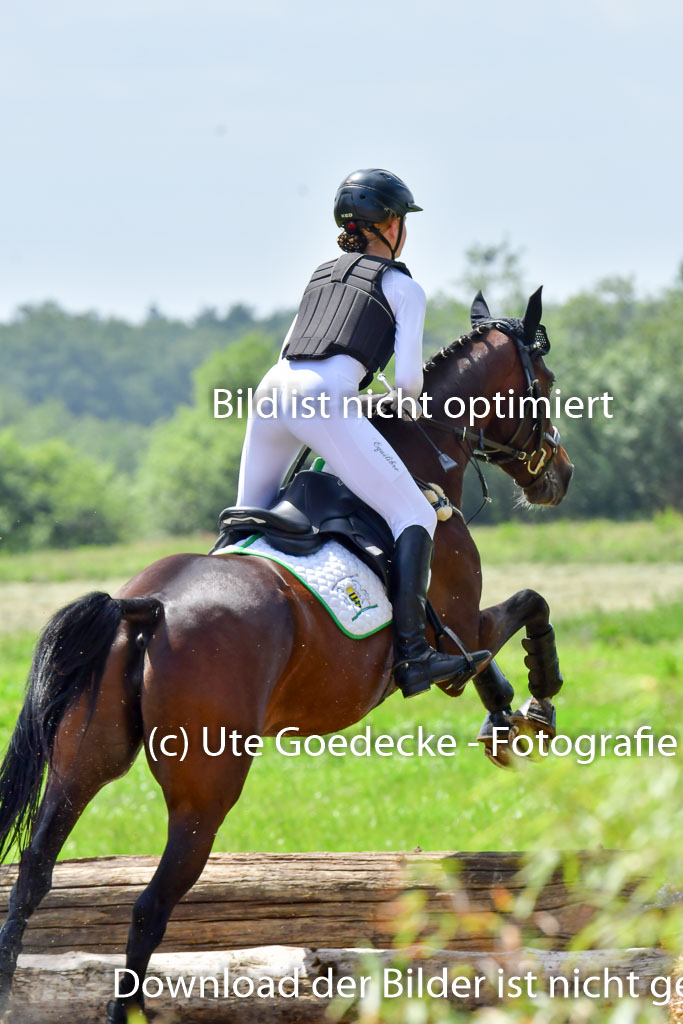 Goldene Schärpe PFerde  in Löningen  11+12.6.22 | 11062022 - Gelände 1 Abt_1199 