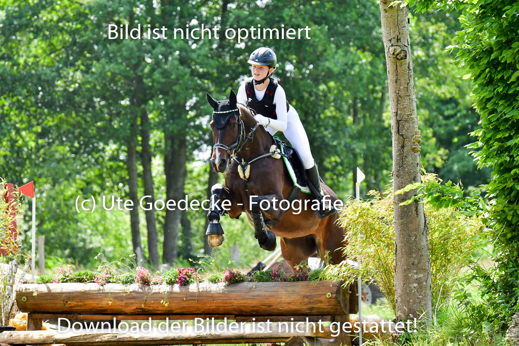 Goldene Schärpe PFerde  in Löningen  11+12.6.22 | 11062022 - Gelände 1 Abt_1200 