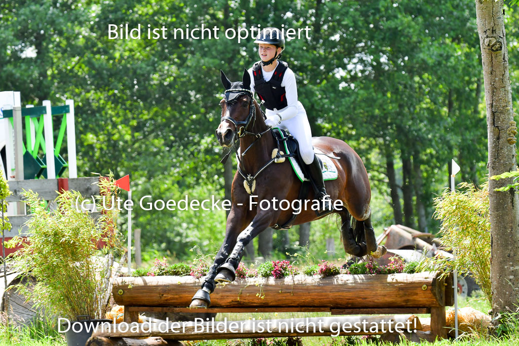 Goldene Schärpe PFerde  in Löningen  11+12.6.22 | 11062022 - Gelände 1 Abt_1202 