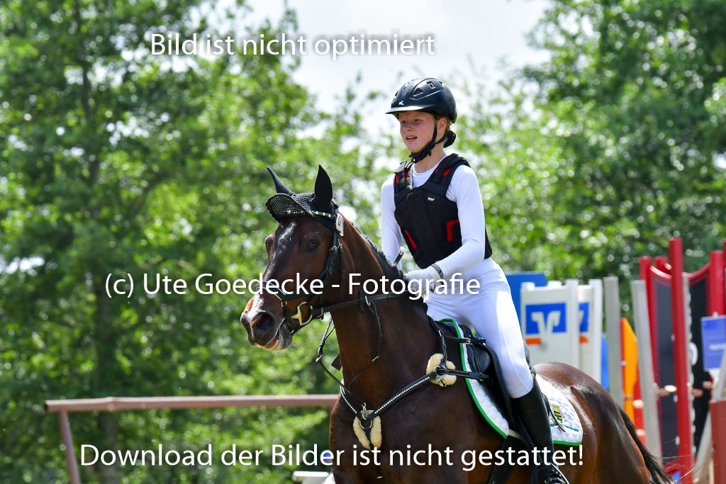 Goldene Schärpe PFerde  in Löningen  11+12.6.22 | 11062022 - Gelände 1 Abt_1203 