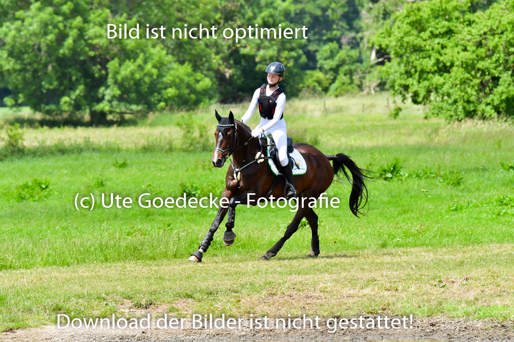 Goldene Schärpe PFerde  in Löningen  11+12.6.22 | 11062022 - Gelände 1 Abt_1206 