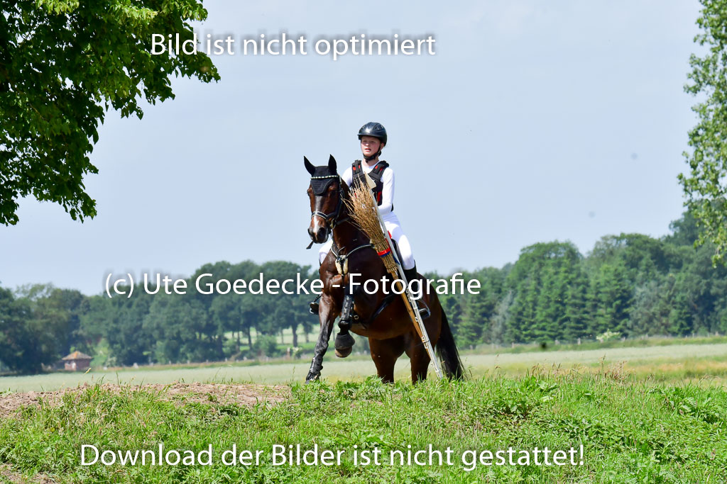 Goldene Schärpe PFerde  in Löningen  11+12.6.22 | 11062022 - Gelände 1 Abt_1207 