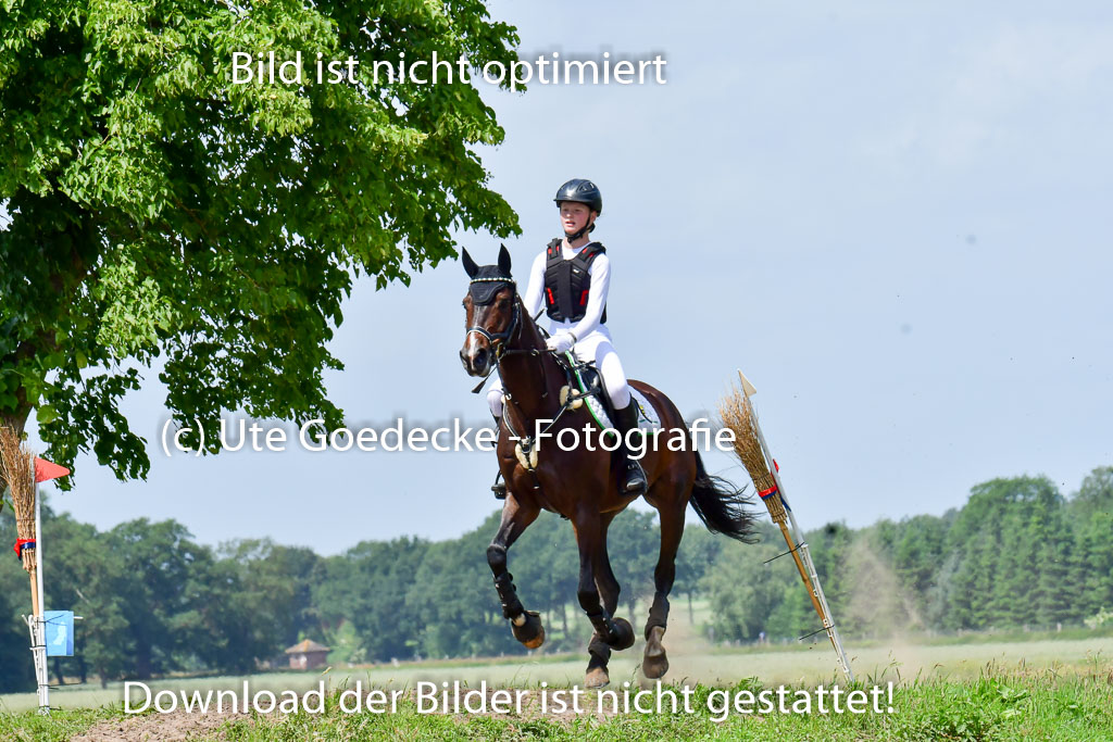 Goldene Schärpe PFerde  in Löningen  11+12.6.22 | 11062022 - Gelände 1 Abt_1208 