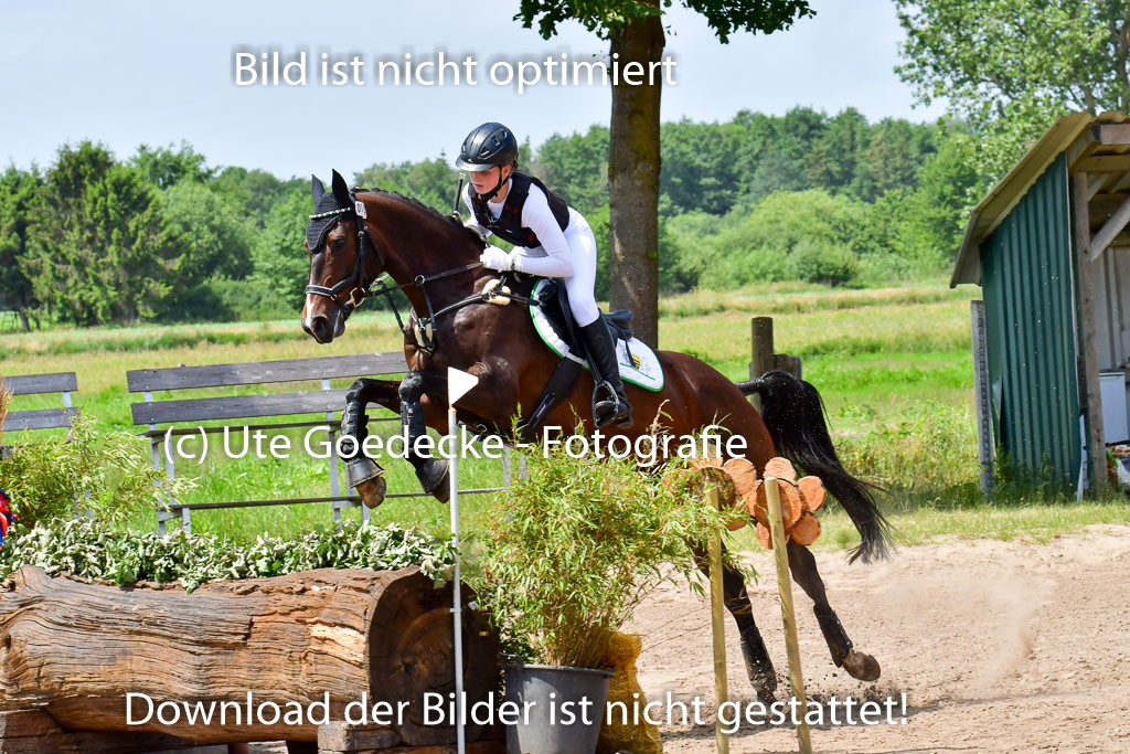 Goldene Schärpe PFerde  in Löningen  11+12.6.22 | 11062022 - Gelände 1 Abt_1209 