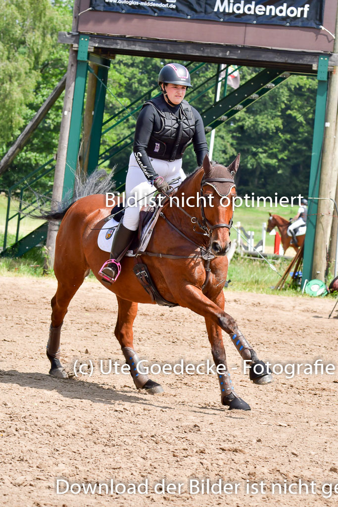 Goldene Schärpe PFerde  in Löningen  11+12.6.22 | 11062022 - Gelände 1 Abt_1214 