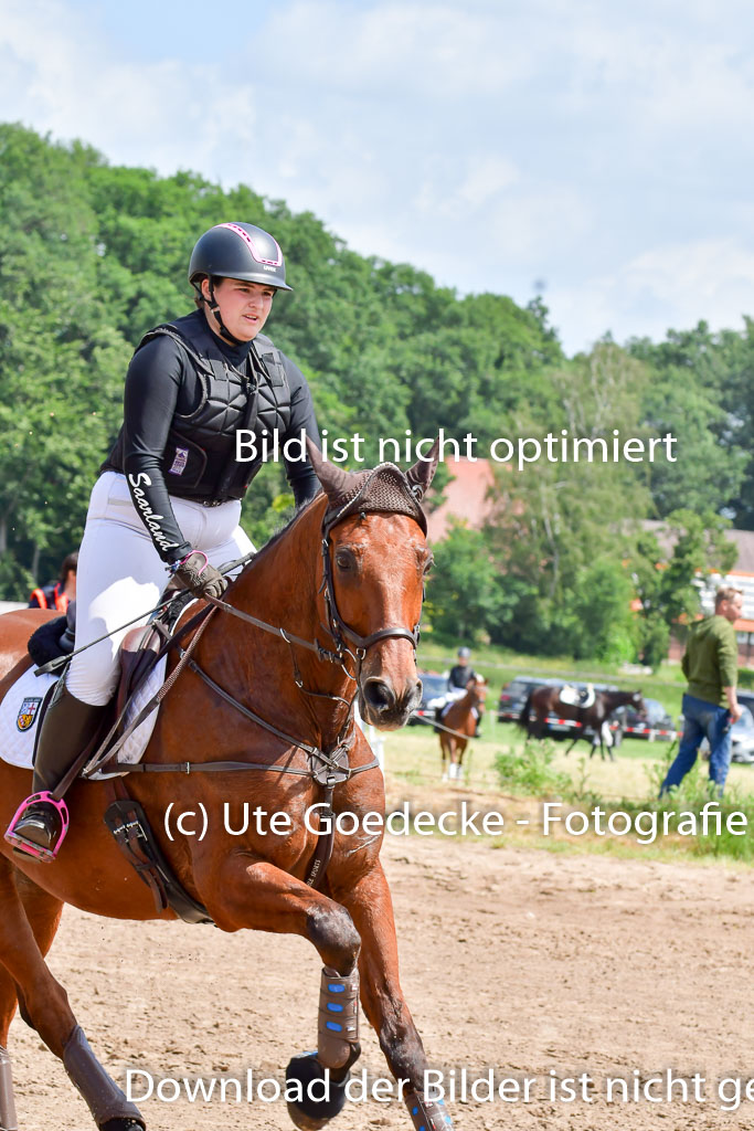 Goldene Schärpe PFerde  in Löningen  11+12.6.22 | 11062022 - Gelände 1 Abt_1215