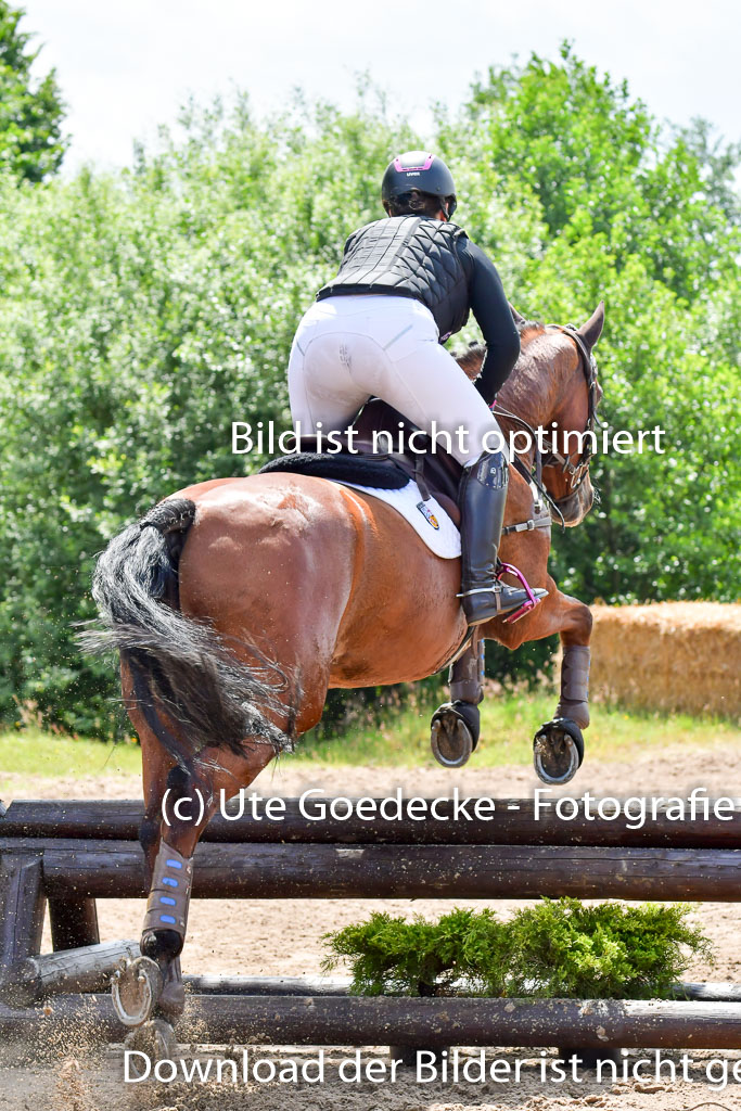Goldene Schärpe PFerde  in Löningen  11+12.6.22 | 11062022 - Gelände 1 Abt_1217 