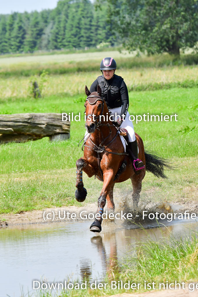 Goldene Schärpe PFerde  in Löningen  11+12.6.22 | 11062022 - Gelände 1 Abt_1218 