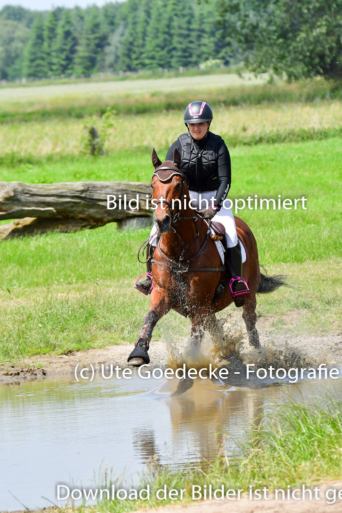 Goldene Schärpe PFerde  in Löningen  11+12.6.22 | 11062022 - Gelände 1 Abt_1219 