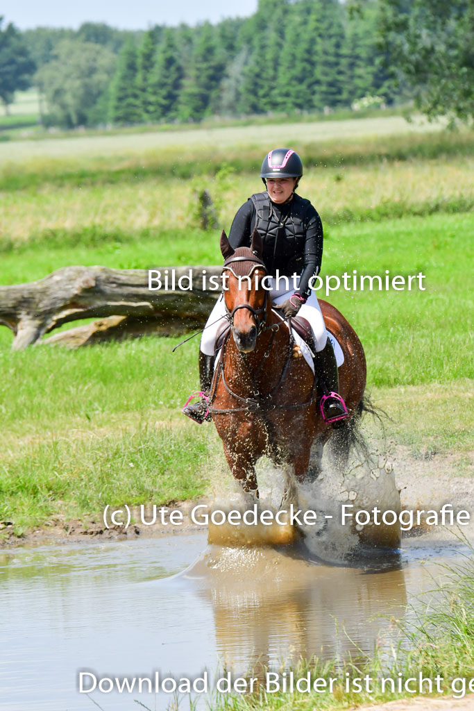Goldene Schärpe PFerde  in Löningen  11+12.6.22 | 11062022 - Gelände 1 Abt_1220 