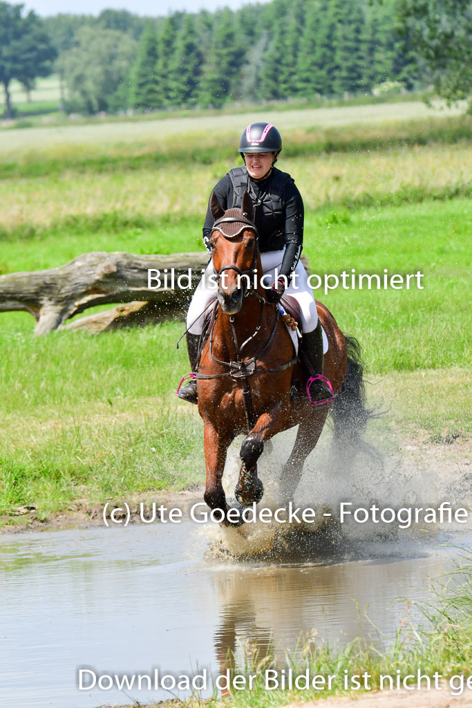 Goldene Schärpe PFerde  in Löningen  11+12.6.22 | 11062022 - Gelände 1 Abt_1221 