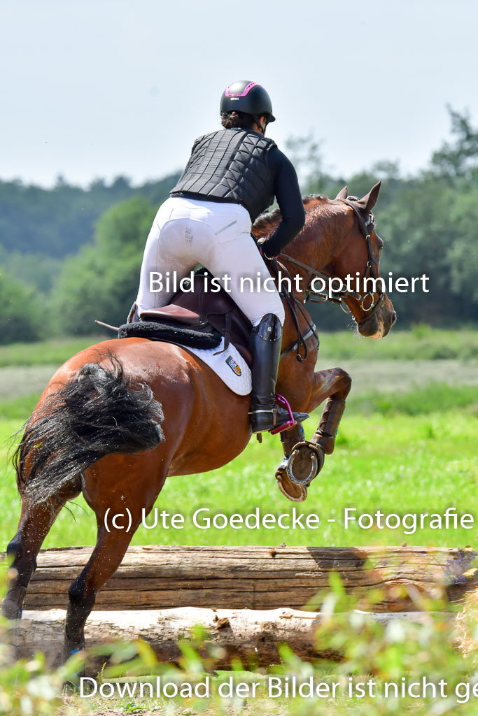 Goldene Schärpe PFerde  in Löningen  11+12.6.22 | 11062022 - Gelände 1 Abt_1229 
