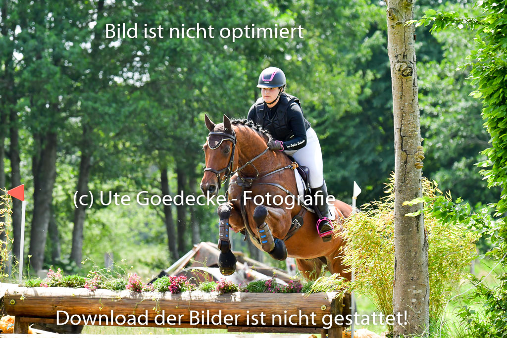 Goldene Schärpe PFerde  in Löningen  11+12.6.22 | 11062022 - Gelände 1 Abt_1230 