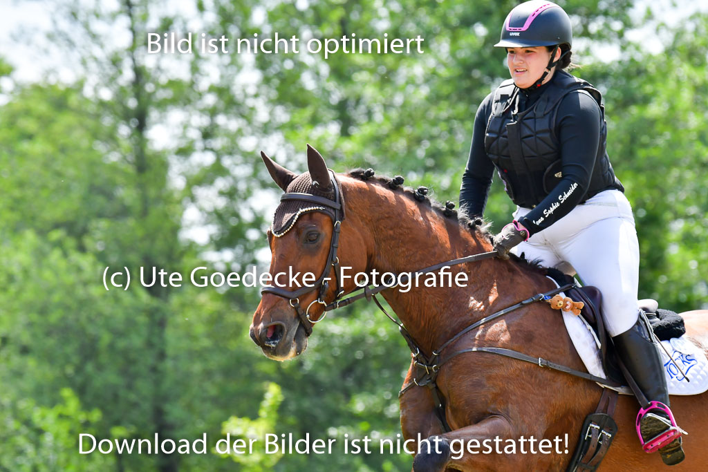 Goldene Schärpe PFerde  in Löningen  11+12.6.22 | 11062022 - Gelände 1 Abt_1232 