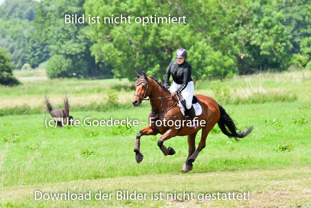 Goldene Schärpe PFerde  in Löningen  11+12.6.22 | 11062022 - Gelände 1 Abt_1233 