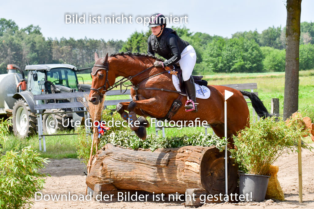 Goldene Schärpe PFerde  in Löningen  11+12.6.22 | 11062022 - Gelände 1 Abt_1237 