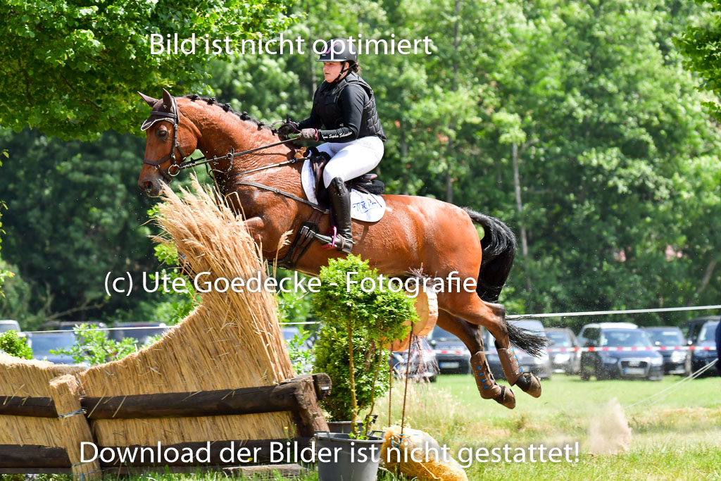 Goldene Schärpe PFerde  in Löningen  11+12.6.22 | 11062022 - Gelände 1 Abt_1238 