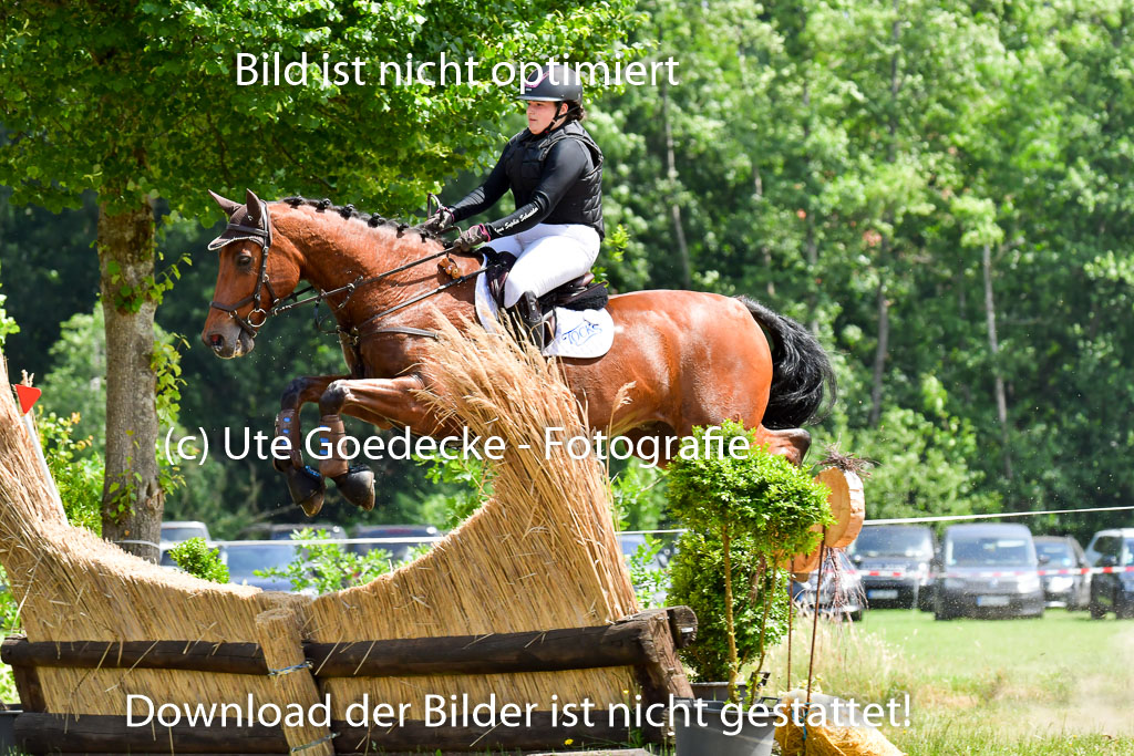 Goldene Schärpe PFerde  in Löningen  11+12.6.22 | 11062022 - Gelände 1 Abt_1239 