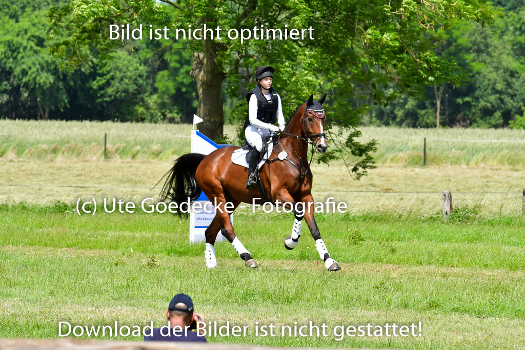 Goldene Schärpe PFerde  in Löningen  11+12.6.22 | 11062022 - Gelände 1 Abt_1242 
