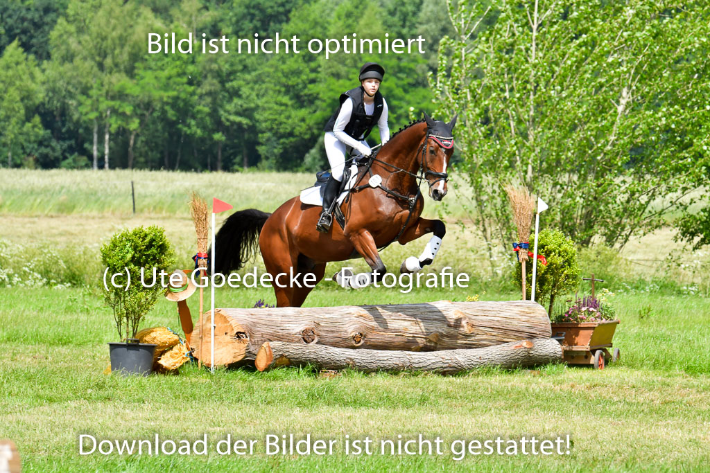 Goldene Schärpe PFerde  in Löningen  11+12.6.22 | 11062022 - Gelände 1 Abt_1243 