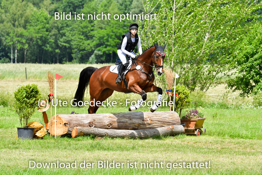 Goldene Schärpe PFerde  in Löningen  11+12.6.22 | 11062022 - Gelände 1 Abt_1244 