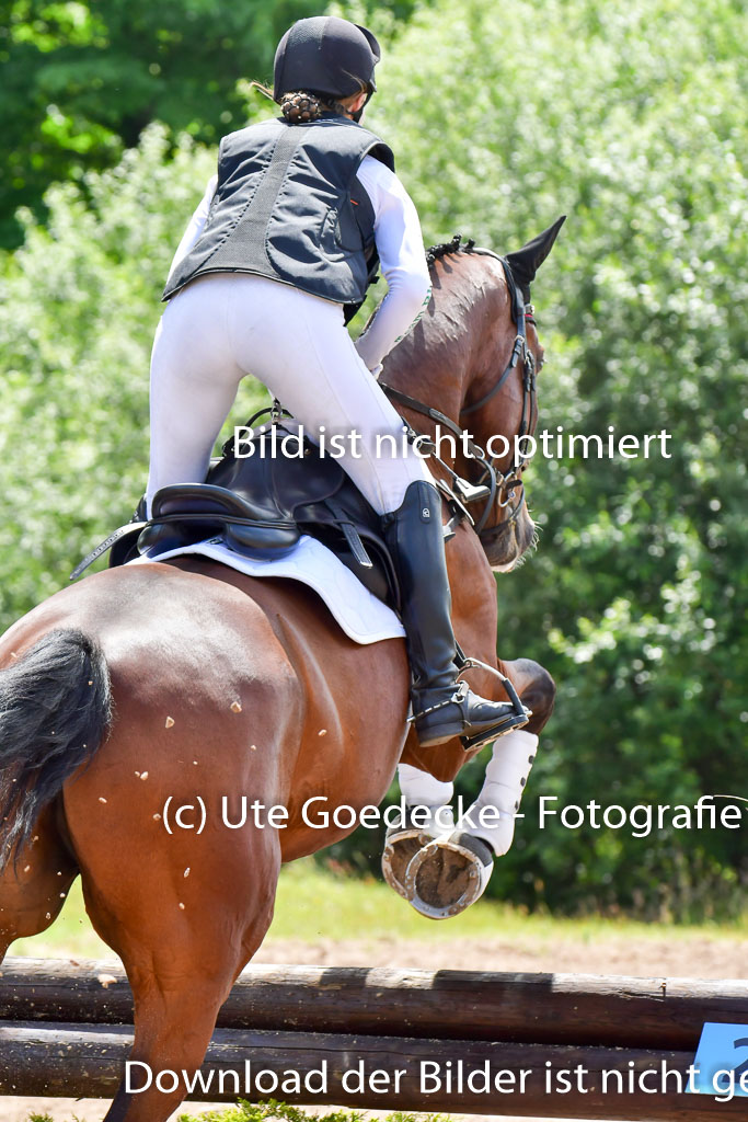 Goldene Schärpe PFerde  in Löningen  11+12.6.22 | 11062022 - Gelände 1 Abt_1245 