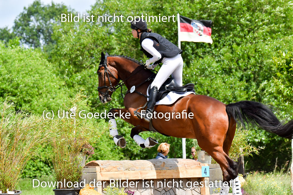 Goldene Schärpe PFerde  in Löningen  11+12.6.22 | 11062022 - Gelände 1 Abt_1246 