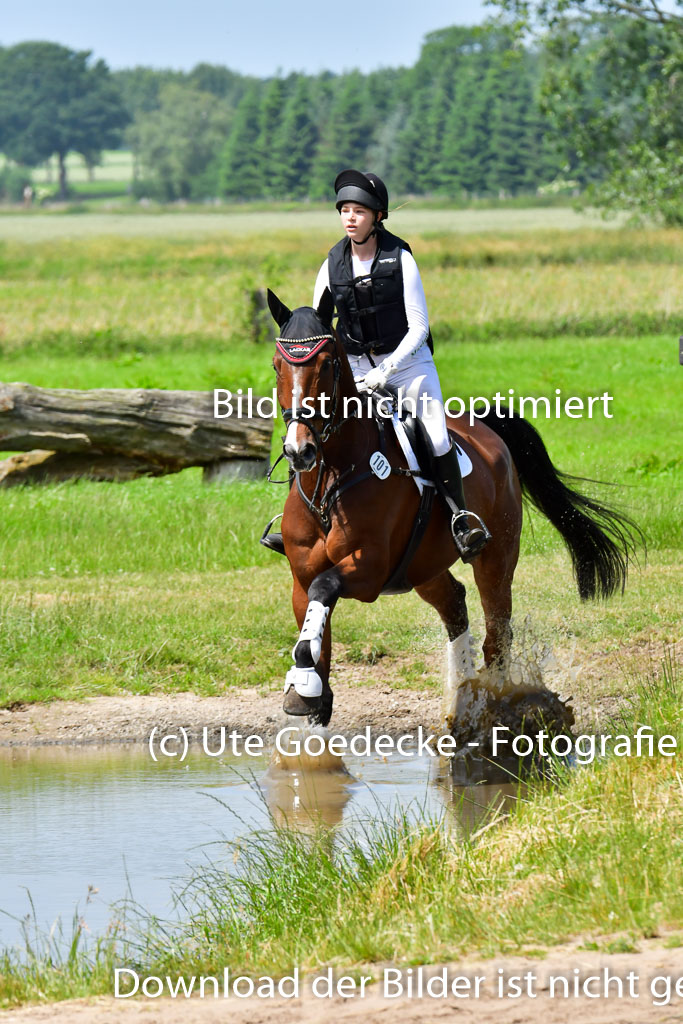 Goldene Schärpe PFerde  in Löningen  11+12.6.22 | 11062022 - Gelände 1 Abt_1247 