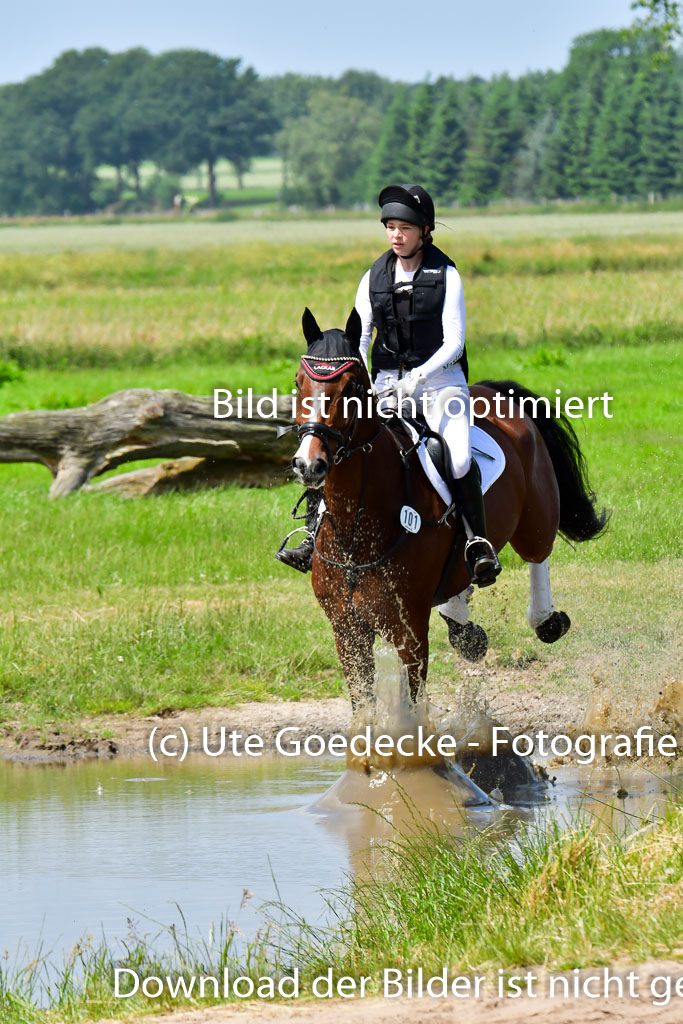 Goldene Schärpe PFerde  in Löningen  11+12.6.22 | 11062022 - Gelände 1 Abt_1248 