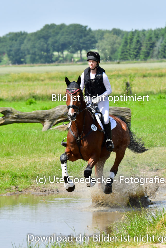 Goldene Schärpe PFerde  in Löningen  11+12.6.22 | 11062022 - Gelände 1 Abt_1249 