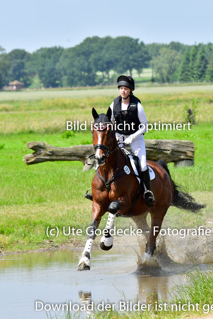 Goldene Schärpe PFerde  in Löningen  11+12.6.22 | 11062022 - Gelände 1 Abt_1250 