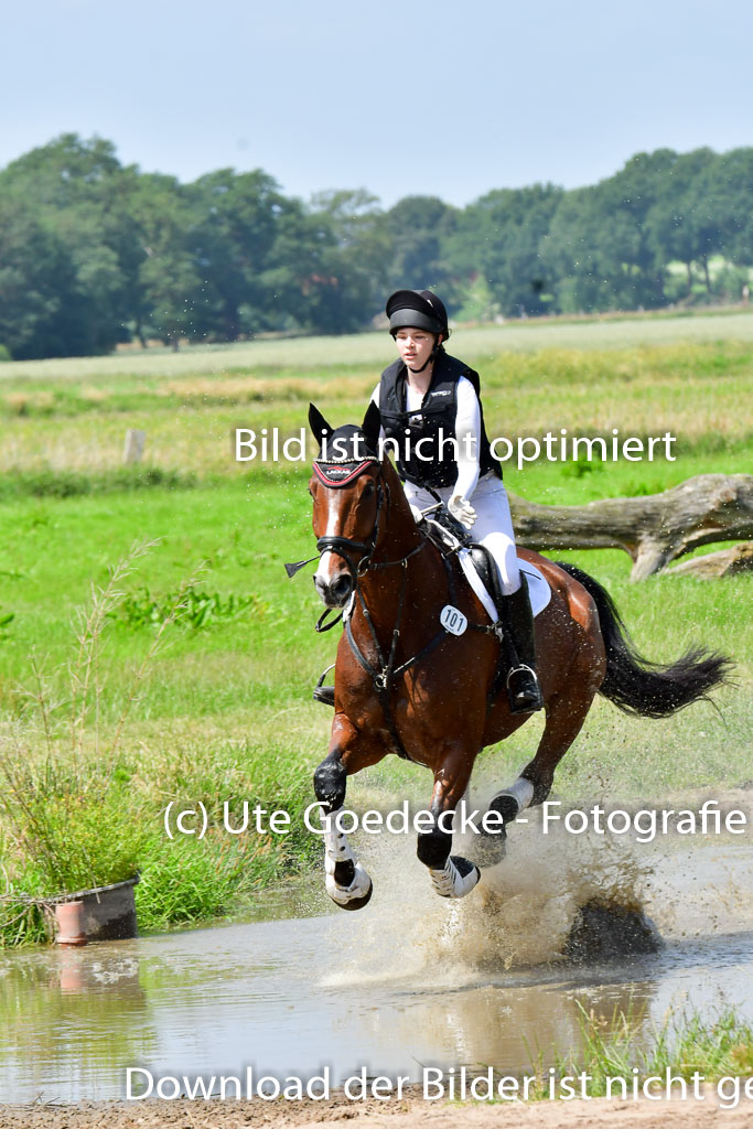 Goldene Schärpe PFerde  in Löningen  11+12.6.22 | 11062022 - Gelände 1 Abt_1252 