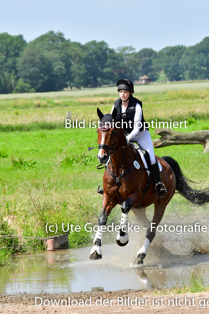 Goldene Schärpe PFerde  in Löningen  11+12.6.22 | 11062022 - Gelände 1 Abt_1253 